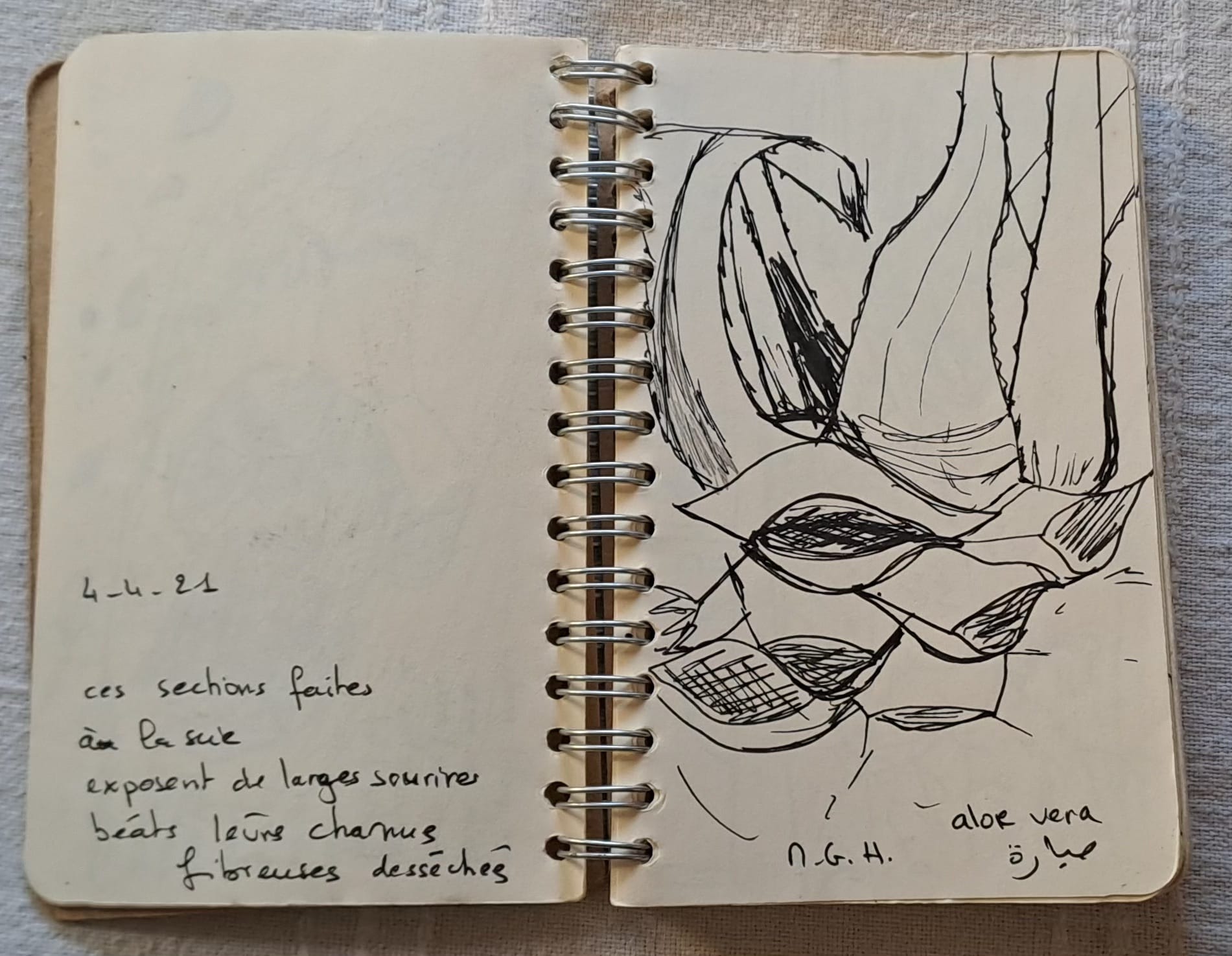 Tableau « Carnet 1 ( 2021/2023) » de Mariem Garaali — dessin au stylo
