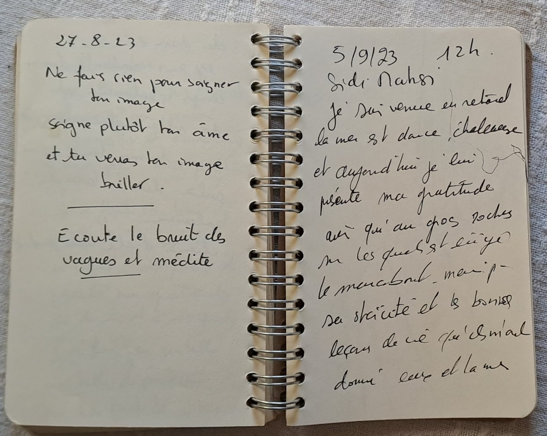 Tableau « Carnet 1 ( 2021/2023) » de Mariem Garaali — dessin au stylo